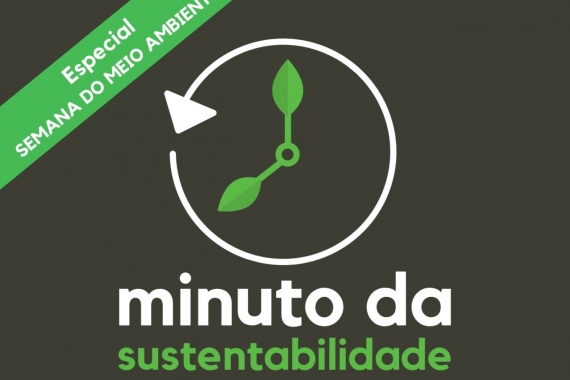 Quiz ambiental / Questões