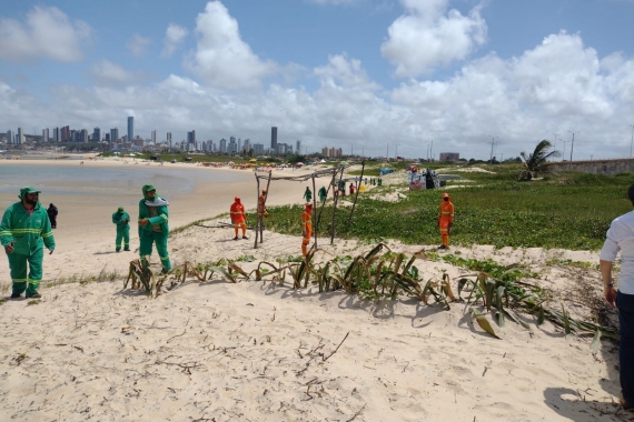 Semurb desocupa área de preservação permanente na Praia do Forte