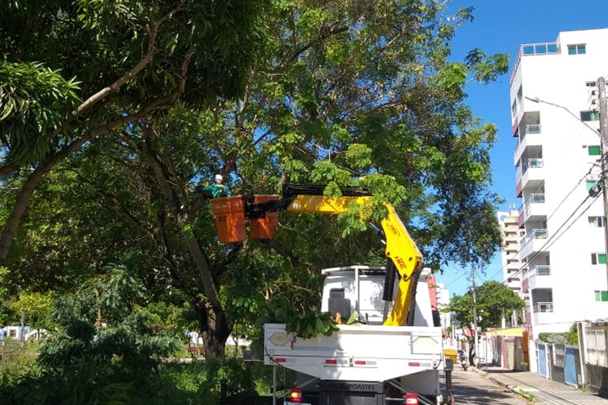 Prefeitura do Natal inicia manejo arbóreo preventivo das árvores da Zona Leste