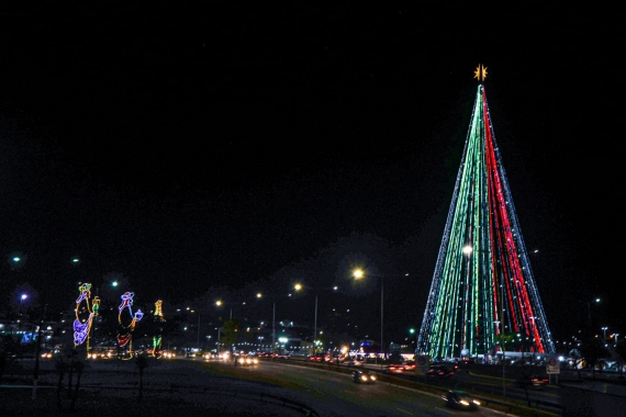 Símbolo do Natal em Natal, Árvore de Mirassol é acesa com as cores das campanhas sociais