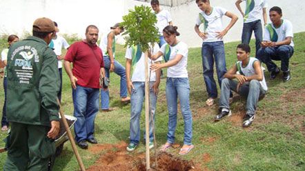 Semurb comemora o Dia do Pau-brasil com plantio em escola
